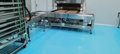 食品廠qs無菌凈化生產車間施工團隊